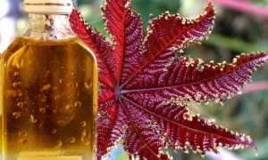 Свойства касторового масла