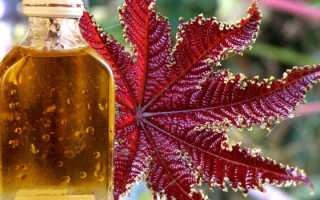 Свойства касторового масла