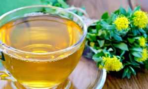 Родиола розовая при импотенции — инструкция по применению настойки и экстракта, показания и дозировка