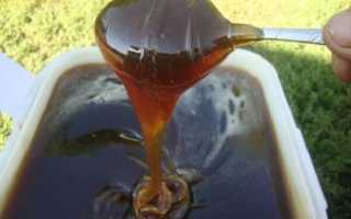 Гречишный мед — полезные свойства и противопоказания