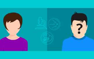 Донор спермы: как выбирают и сколько платят