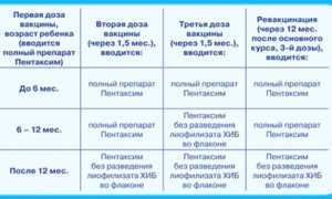 Прививка АКДС детям и взрослым — сроки вакцинации и побочные реакции