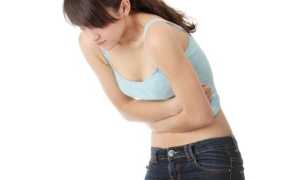 Хвощ полевой — полезные свойства и противопоказания