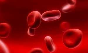 Эритроциты в крови — норма в анализе, причины повышения и негативные последствия для организма