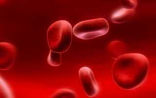Эритроциты в крови — норма в анализе, причины повышения и негативные последствия для организма