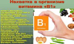 Витамин B1 — источники тиамина и список препаратов