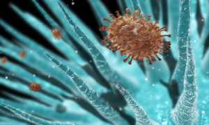 Повышение иммуноглобулина Е