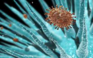 Повышение иммуноглобулина Е