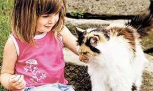 Из-за чего развивается микоз гладкой кожи и как его лечить