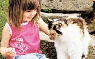 Из-за чего развивается микоз гладкой кожи и как его лечить