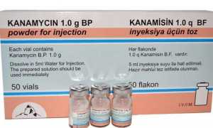 Лечение туберкулезного менингита у детей и взрослых — медикаментозные, народные средства и диета