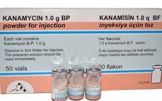 Лечение туберкулезного менингита у детей и взрослых — медикаментозные, народные средства и диета