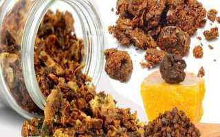 Прополис–50 заболеваний которые он лечит, 9 лечебных свойств и полная инструкцию по применению