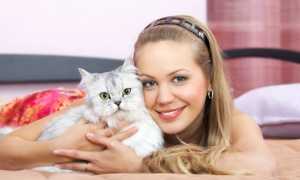 Токсоплазмоз — что это такое, пути заражения, симптомы у человека, анализы, лечение и профилактика