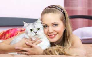 Токсоплазмоз — что это такое, пути заражения, симптомы у человека, анализы, лечение и профилактика