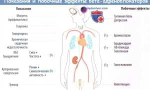 Метопролол или Бисопролол: что лучше
