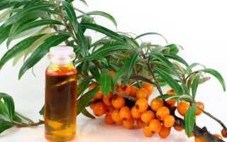 Облепиховое масло — его волшебные лечебные свойства и область применения