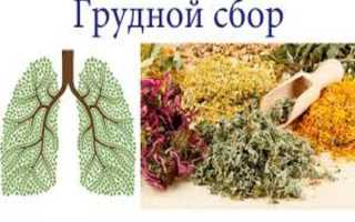 Подборка лучших травяных сборов от кашля