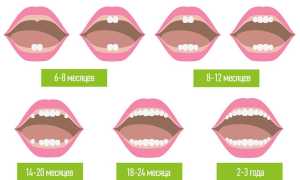 Прорезывание зубов