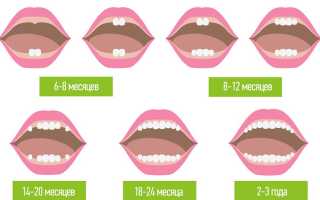 Прорезывание зубов