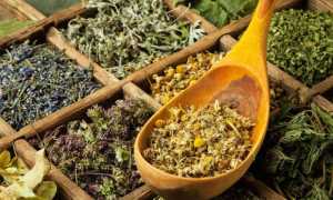 Лечение молочницы травами