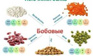 Питание при переломах со смещением  для быстрого восстановления