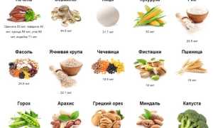 Правильное питание перед зачатием