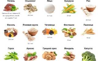 Правильное питание перед зачатием