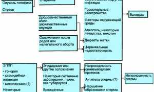 Идиопатическое бесплодие: причины и лечение