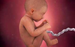 Как справиться и предупредить гипотрофию плода при беременности?