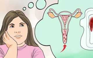 Месячные при приеме противозачаточных таблеток — как предупредить нарушение цикла и их причины