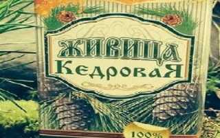 Польза кедровой живицы–миф или правда
