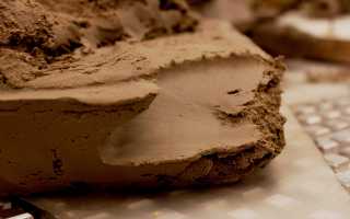 Лечение гипоплазии матки народными средствами