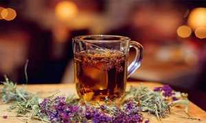 Чабрец – лечебные свойства и противопоказания травы