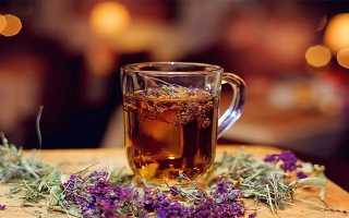 Чабрец – лечебные свойства и противопоказания травы