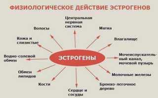 Эстрадиол при беременности: норма гормона по неделям