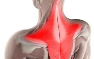 Препараты миорелаксанты центрального и смешанного действия — список с ценами