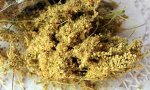 Как вылечить герпес на губах навсегда