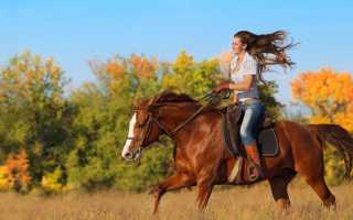 Верховая езда. Отдыхаем душой