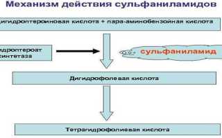 Сульфаниламидные препараты — механизм действия и показания к применению