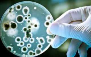 Лечение молочницы спринцеванием лекарственной ромашкой