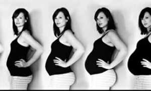 Правильное ведение беременности по триместрам после ЭКО