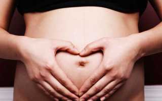 Фертильность и овуляция: отличия и взаимосвязь