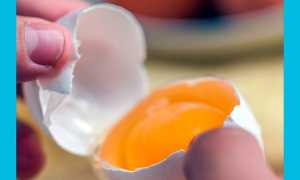 Мумие при бесплодии: помогает ли для зачатия