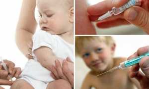 Прививка АДС