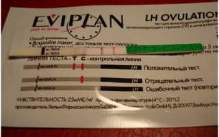 Лучшие тесты на овуляцию: точность, цена, качество