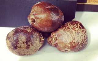 Этот загадочный мохилхин: плод от бесплодия