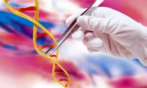 Биопсия ворсин хориона (БПХ)