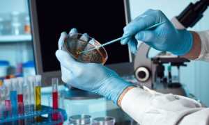 Анализ кала на копрограмму — когда назначают и как проводят