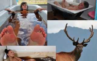 Пантовые ванны — купить и лечиться в домашних условиях теперь может каждый